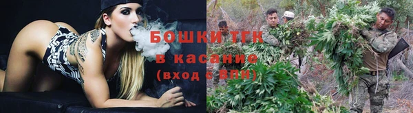 ECSTASY Козельск