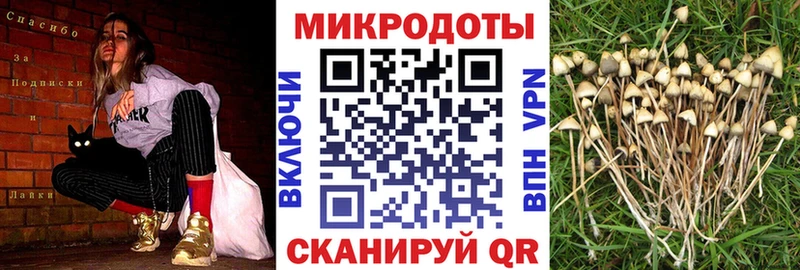 Псилоцибиновые грибы Magic Shrooms  Купить где  Отрадное 
