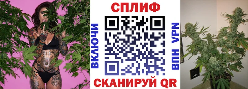 Купить где  Отрадное  Канабис семена 