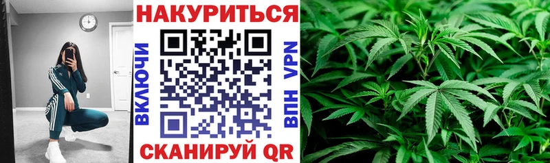 Конопля OG Kush Отрадное